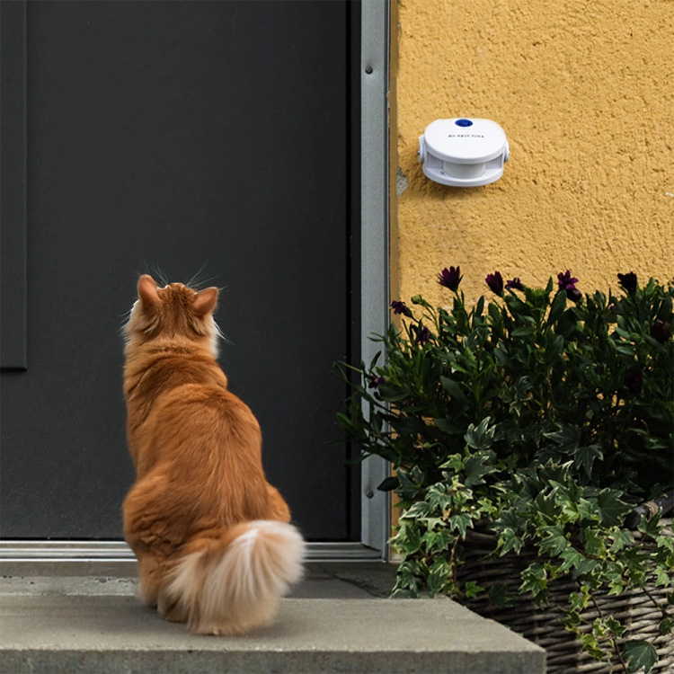 Dörrklocka för katten