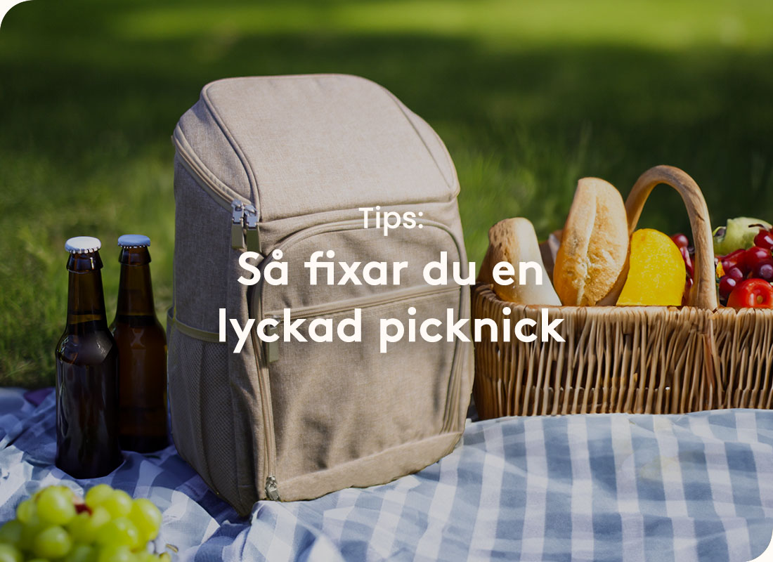 Tips för en lyckad picknick